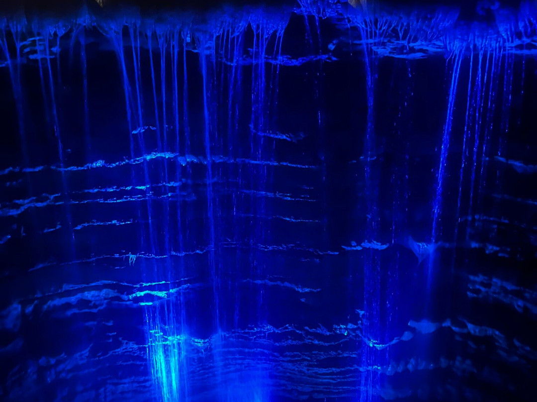 Marvel Cave-布兰森必去景点