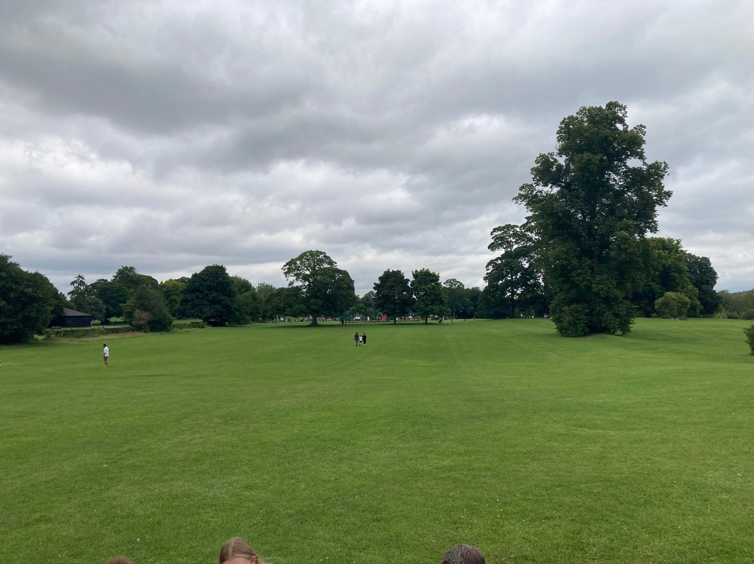 Verulamium Park景点图片