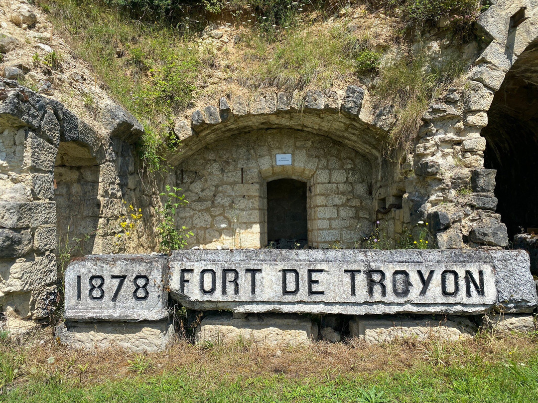 Fort de Troyon景点图片