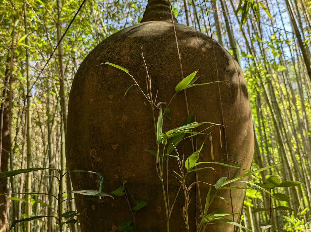 Le Jardin Les Bambous du Mandarin景点图片