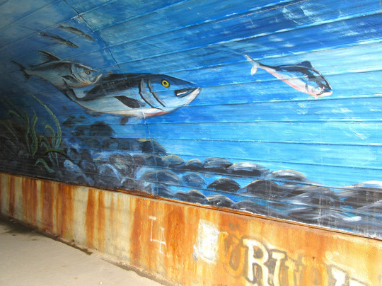 Sentier Des Moulins-Les Escoumins必去景点