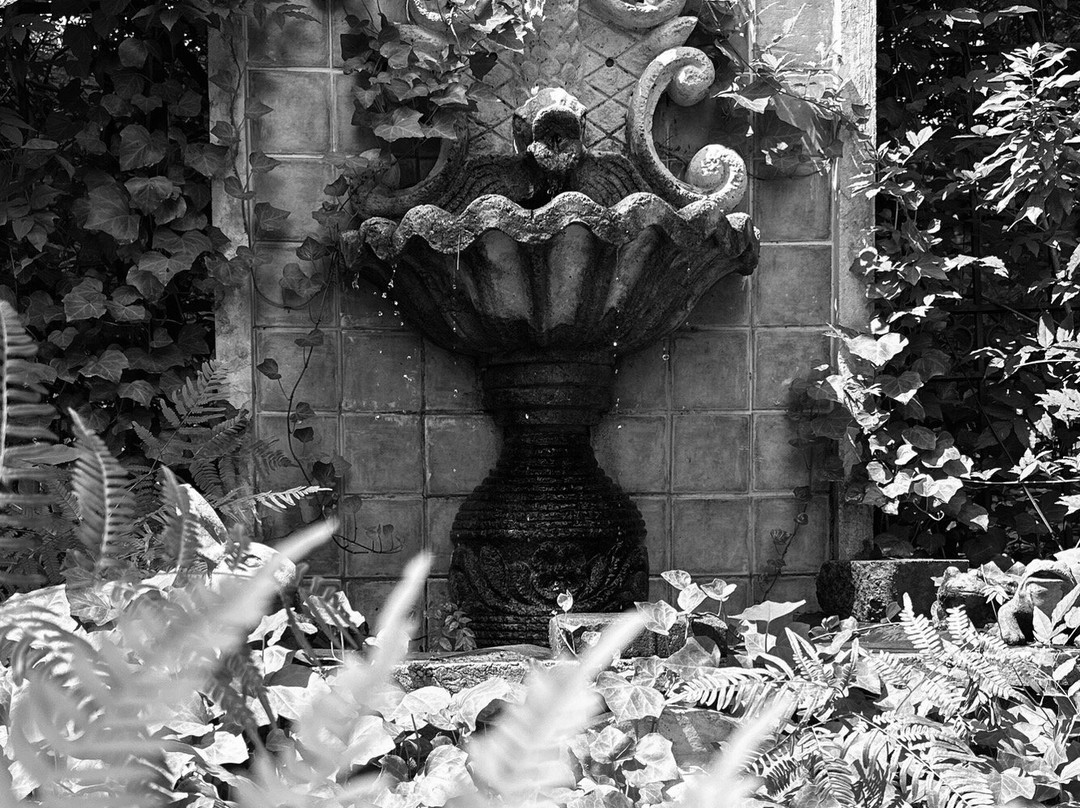 Flowertown Bed and Breakfast主图