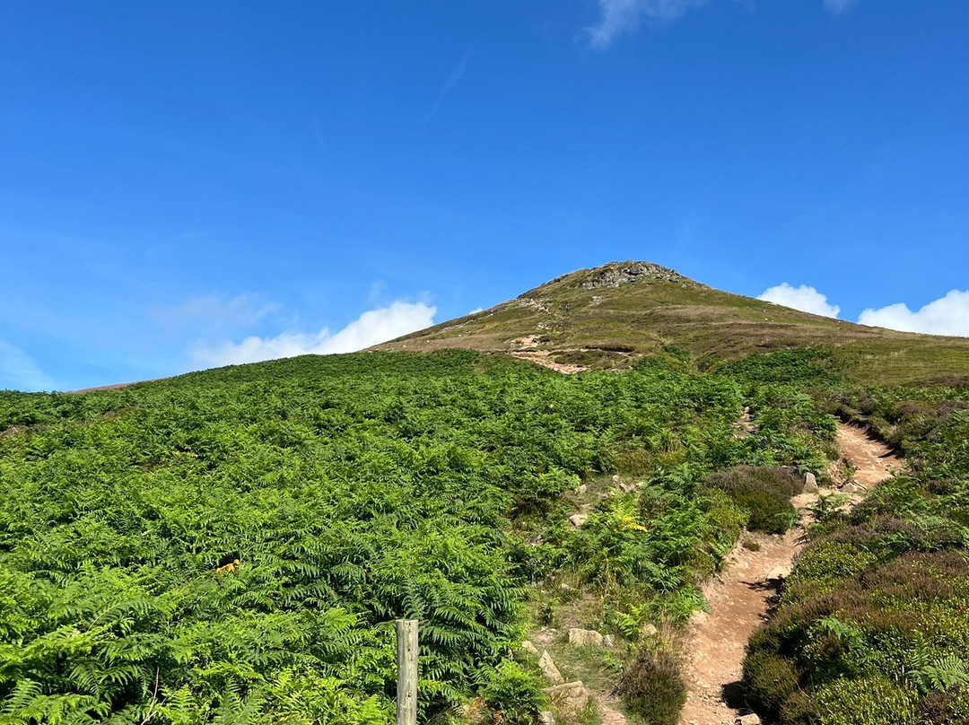 Sugarloaf Mountain景点图片