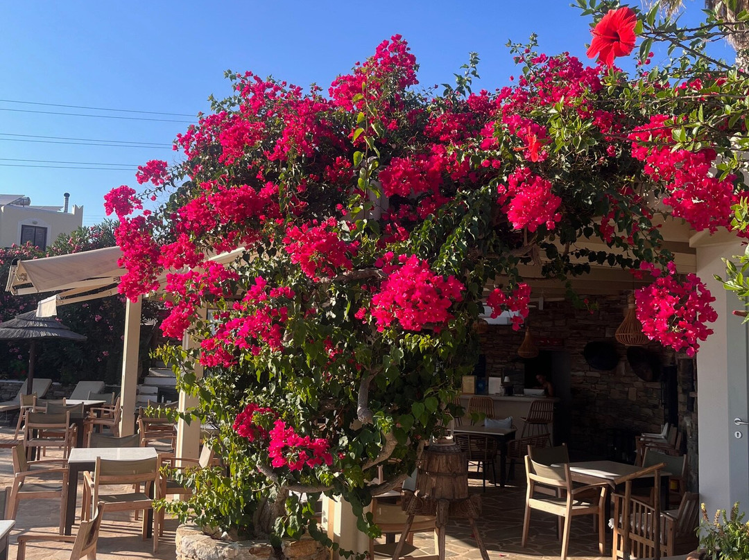 Kavos Hotel Naxos主图