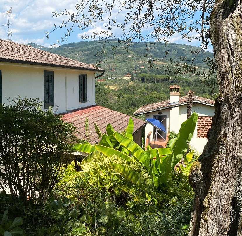 Casa del Pino主图