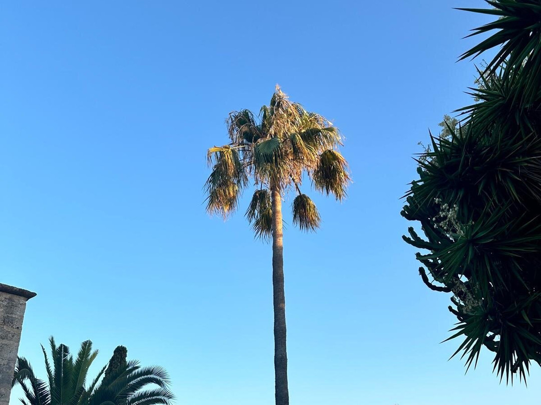 Principal Son Amoixa主图