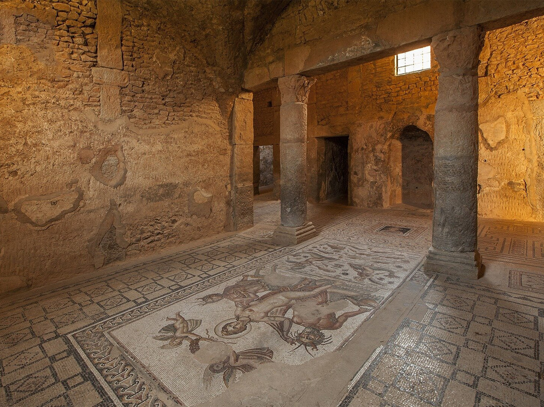 Wüstentour - Tunesien - Douz - Kameltrekking-杜兹必去景点