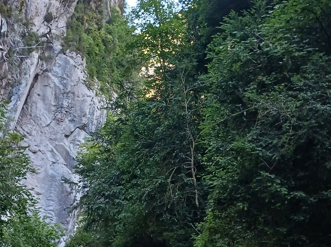 Canon de Anisclo景点图片
