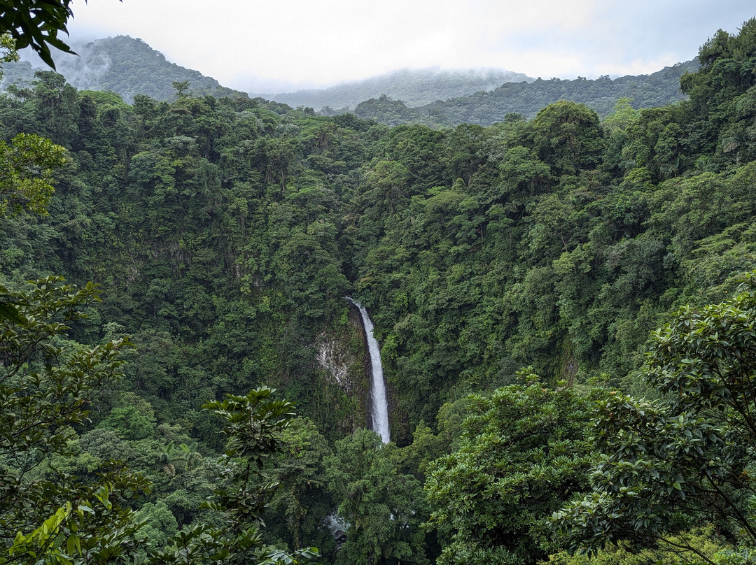 Costa Rica Experience景点图片