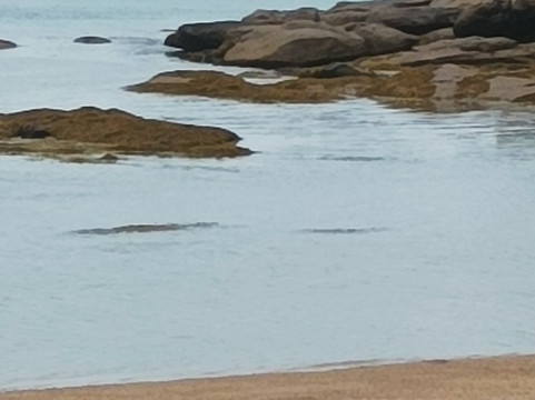 Île de Costaérès-Tregastel必去景点