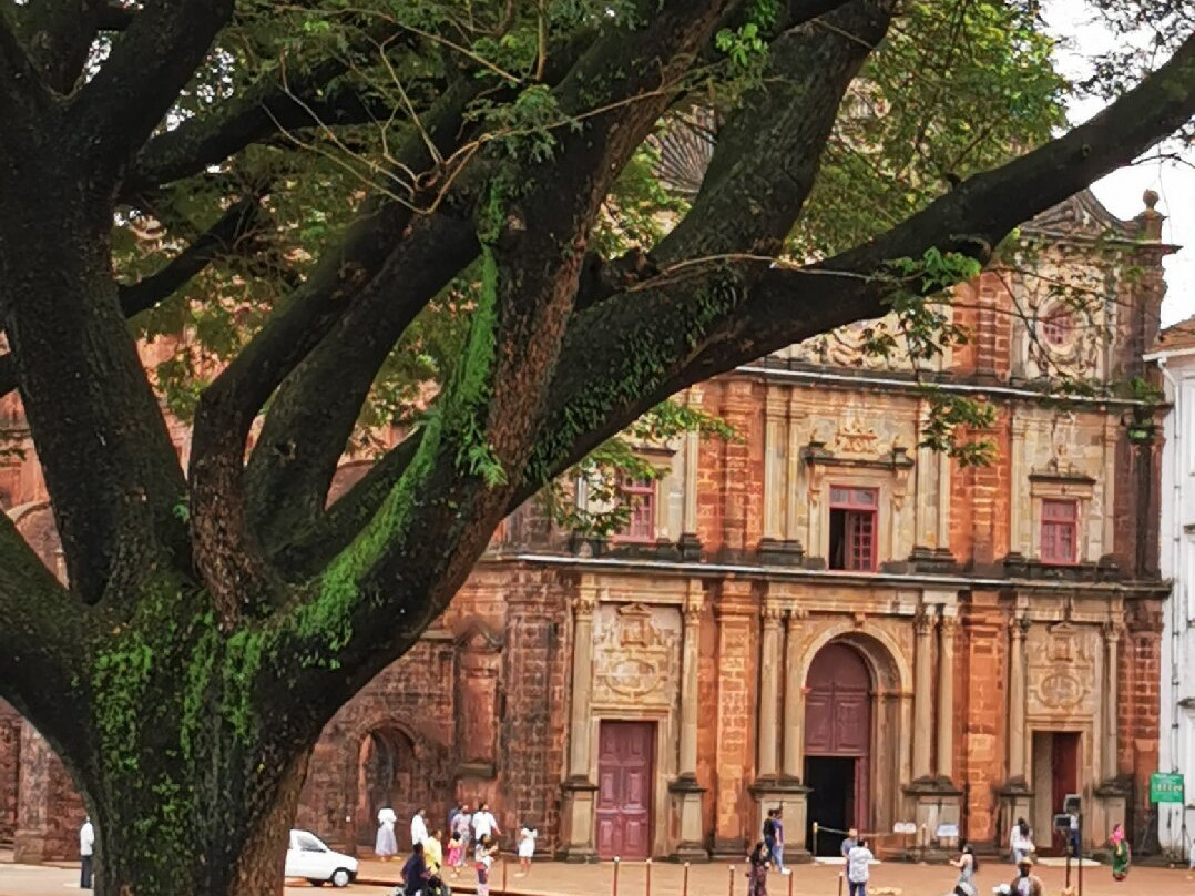 Church of St. Francis of Assissi景点图片