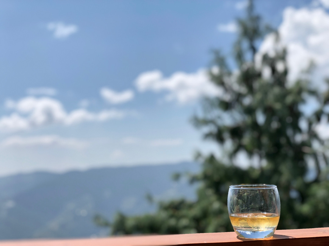 Taj Theog Resort & Spa主图