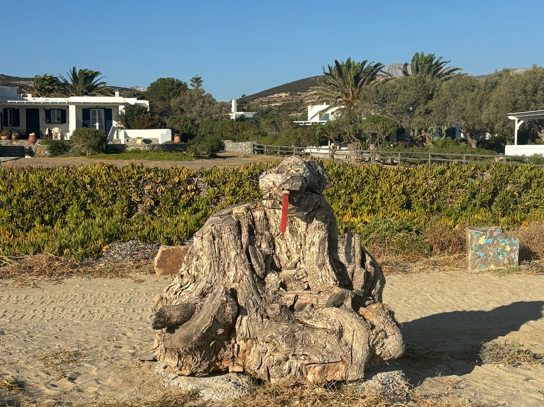 Eden Beachfront Residences & Suites主图