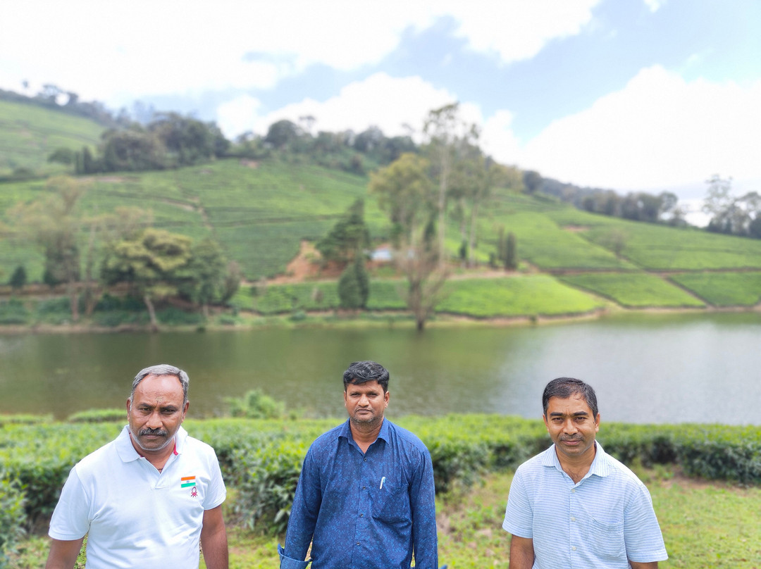 Meghamalai - High Wavy Mountains景点图片