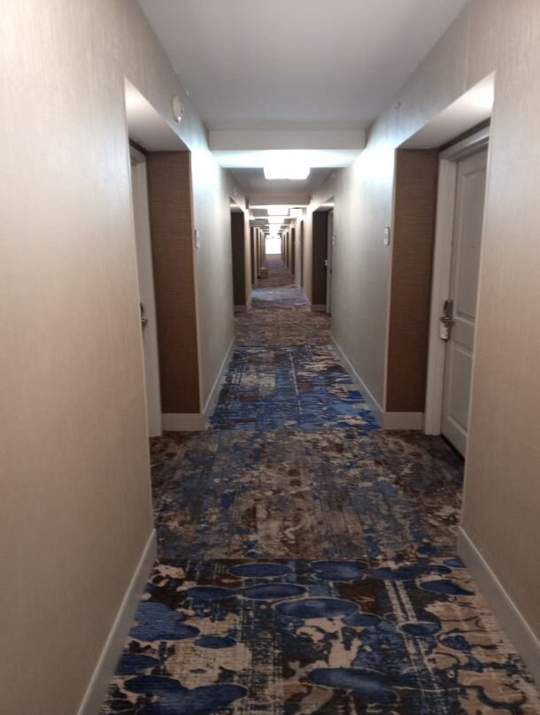 休斯敦/舒格兰希尔顿花园旅馆主图