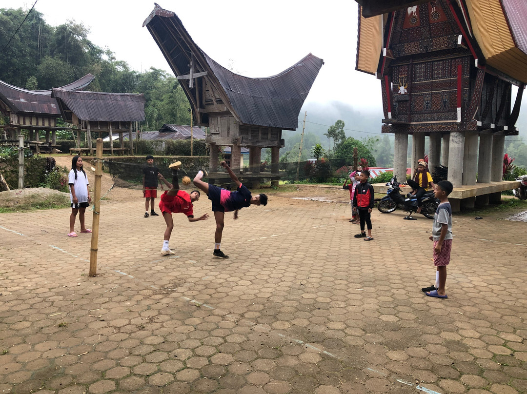 Local Guides - Tana Toraja景点图片