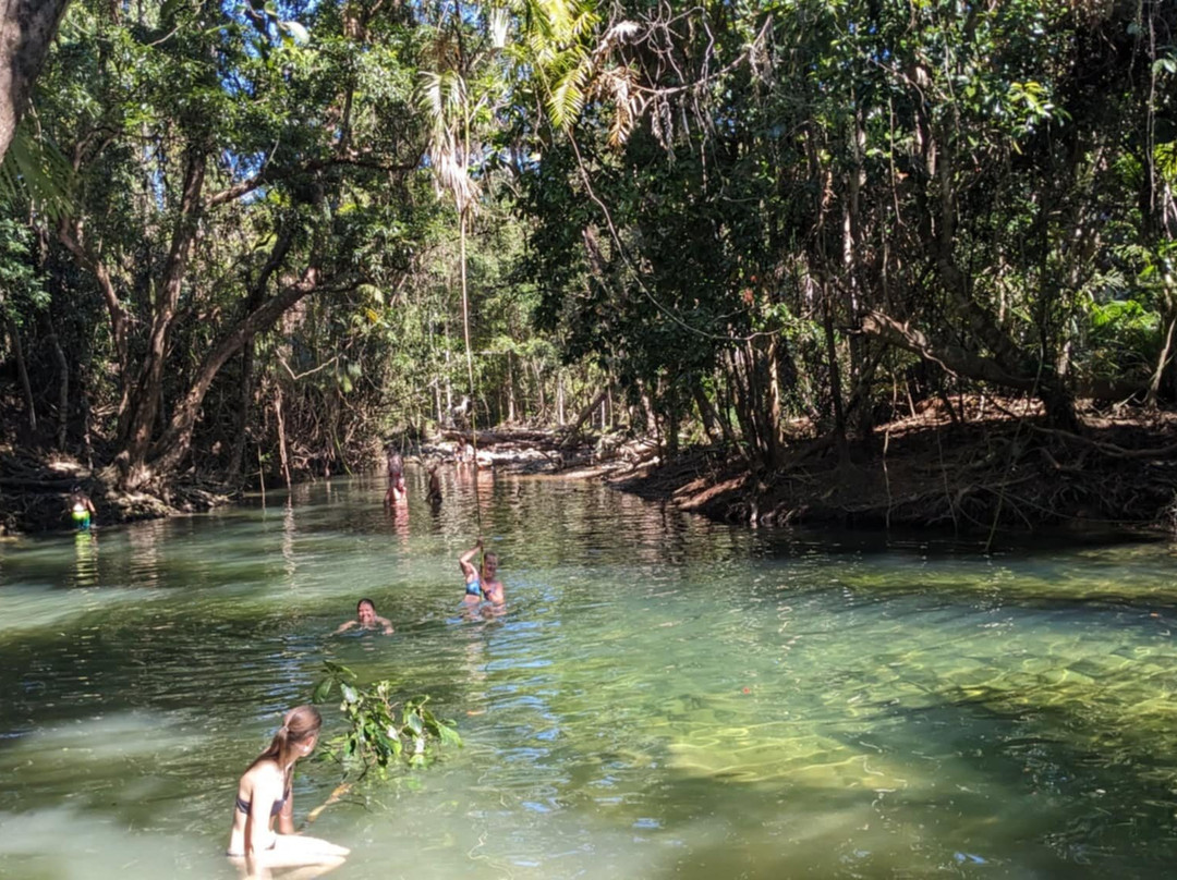 Mason's Swimming Hole-Cape Tribulation必去景点