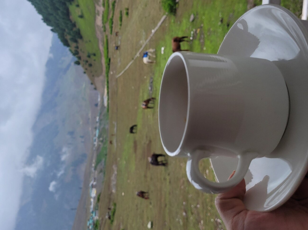 Lemon Tree Hotel, Sonamarg主图