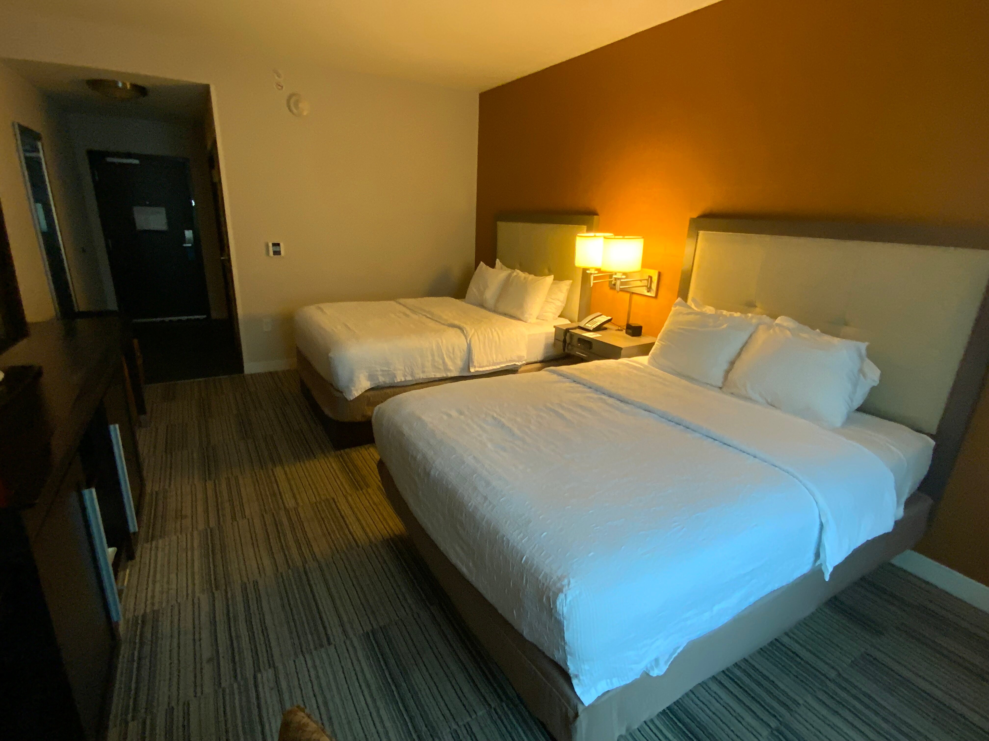 Hampton Inn & Suites Roanoke - Downtown-客卧