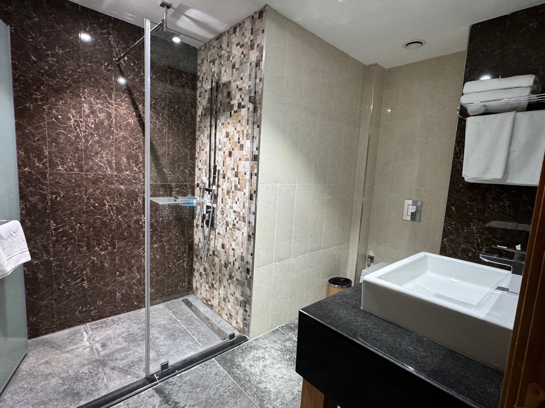 Aidana Plaza Hotel主图