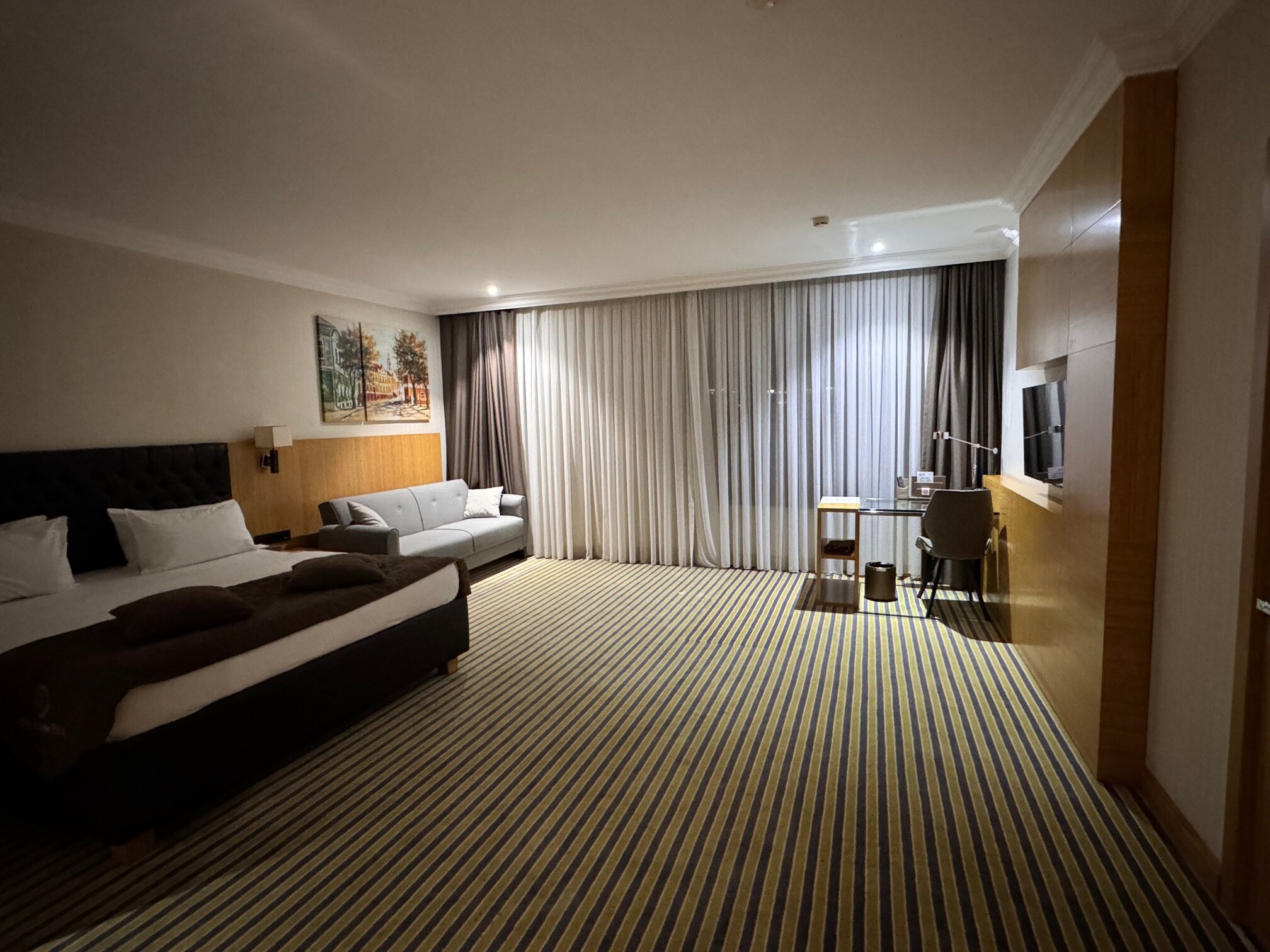 Aidana Plaza Hotel-客卧