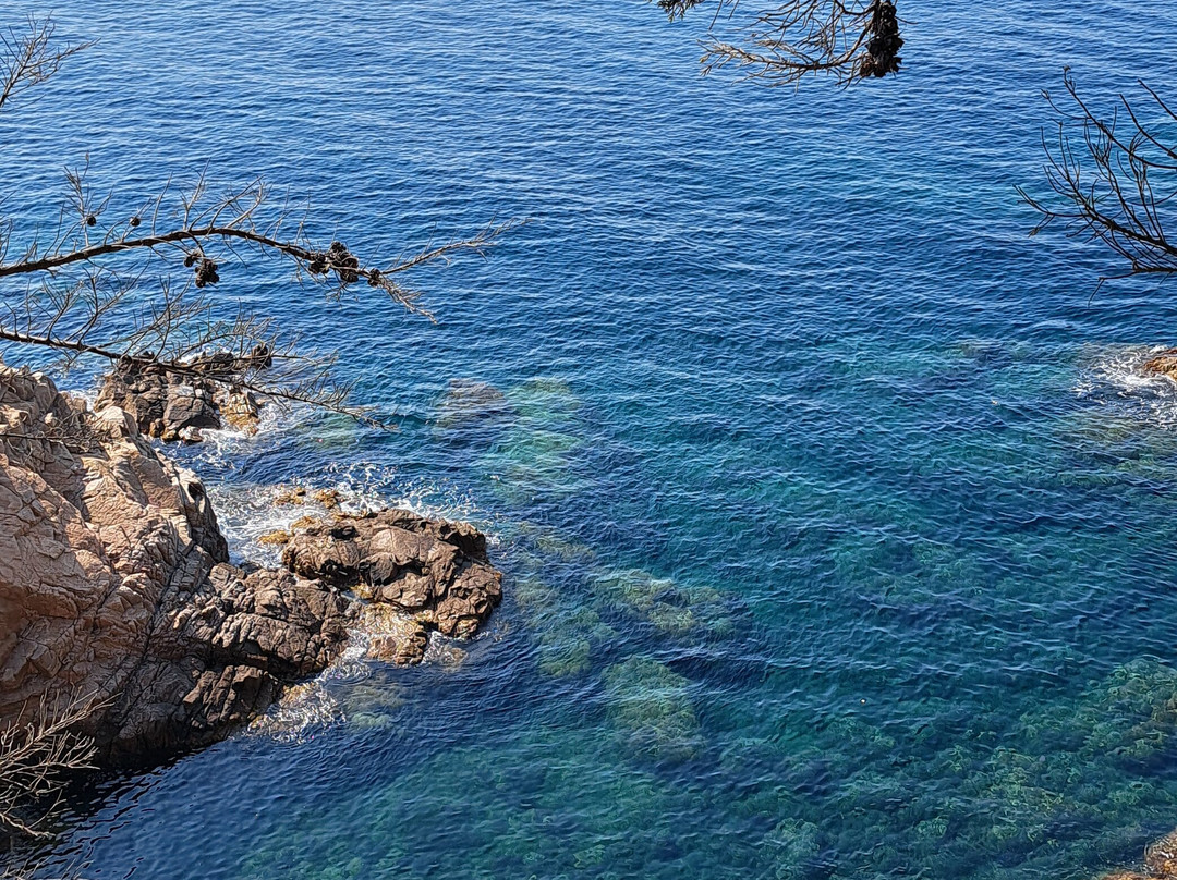 Cala de Sant Francesc景点图片