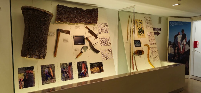 Musée Casa de l'Albera