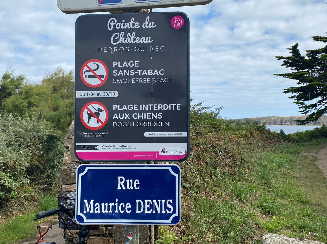 Plage de Trestrignel景点图片