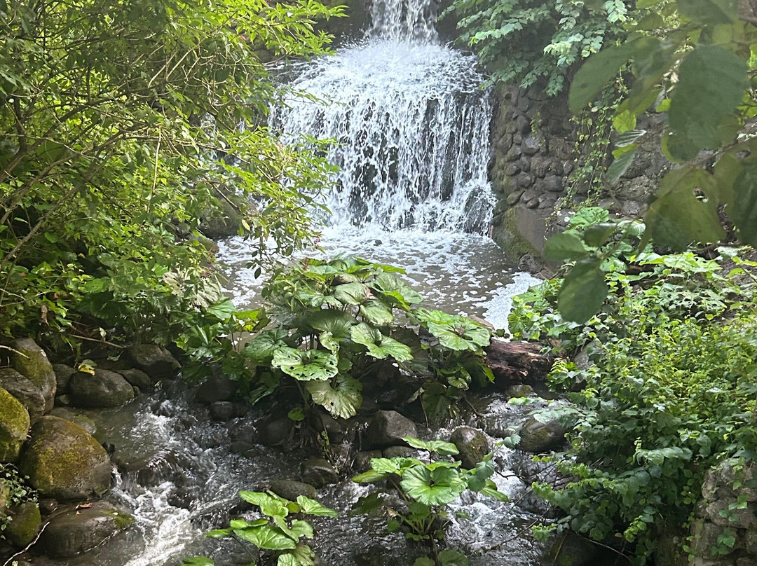 Marselisborg Mindepark-欧胡斯必去景点