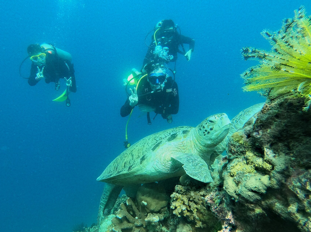 Seabunny Scubacations-仙本那必去景点
