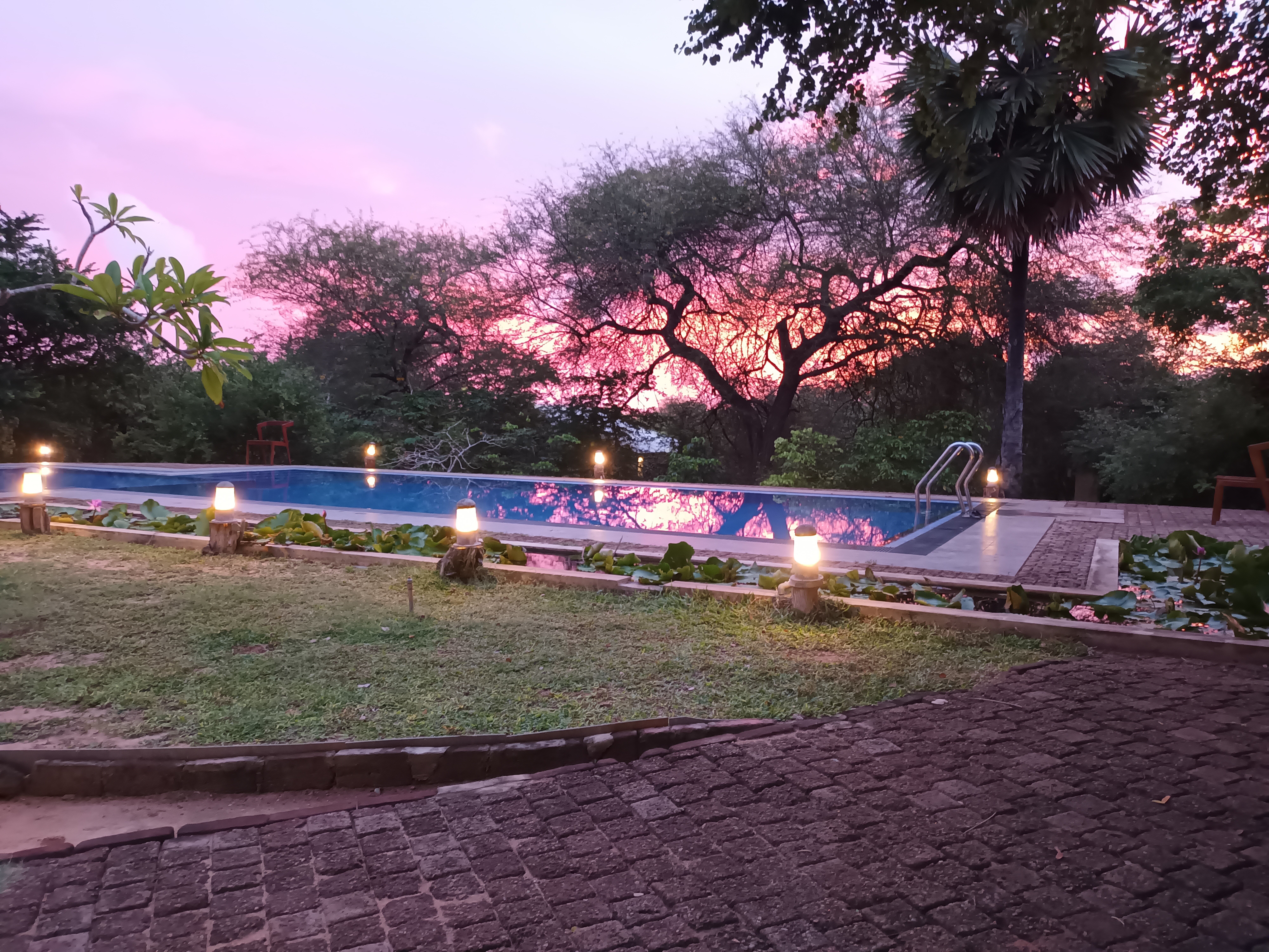 Cloud Nine Lanka Resort Wilpattu-泳池