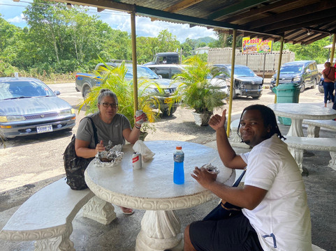 Vibespree Tours-法尔茅斯必去景点