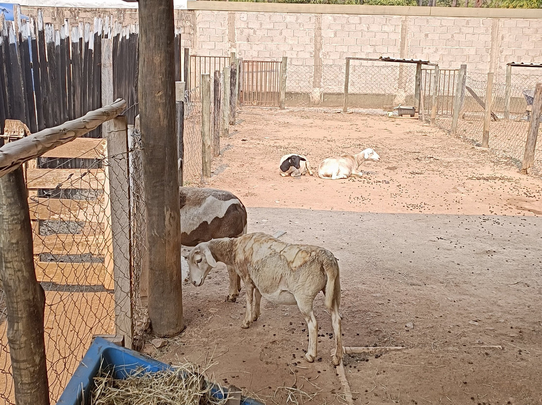 All Inclusive VilaVip Hotel Fazenda主图