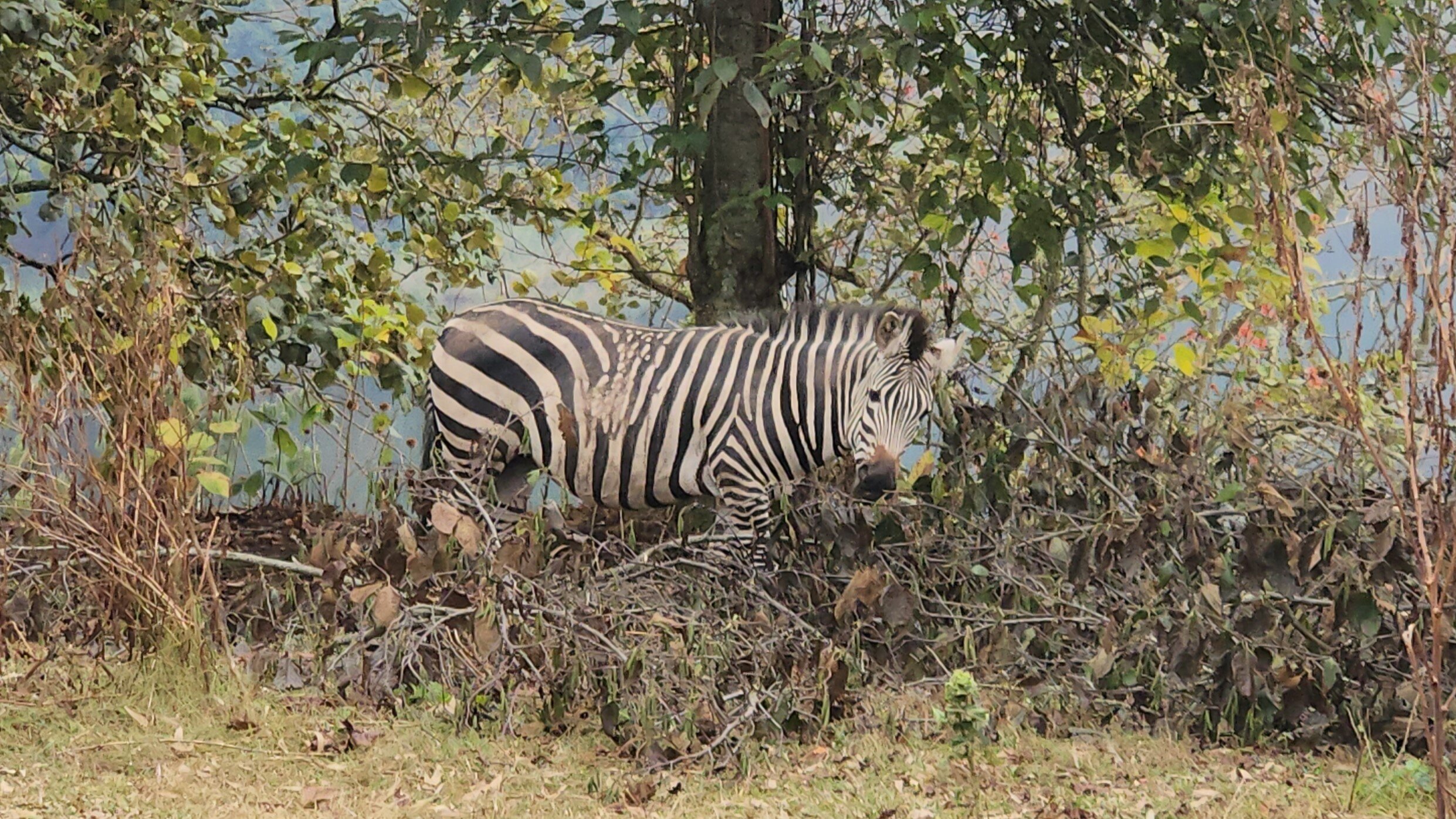 Lake Bunyonyi Eco Resort-浴室