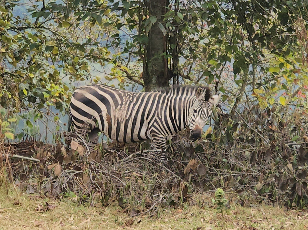 Lake Bunyonyi Eco Resort主图