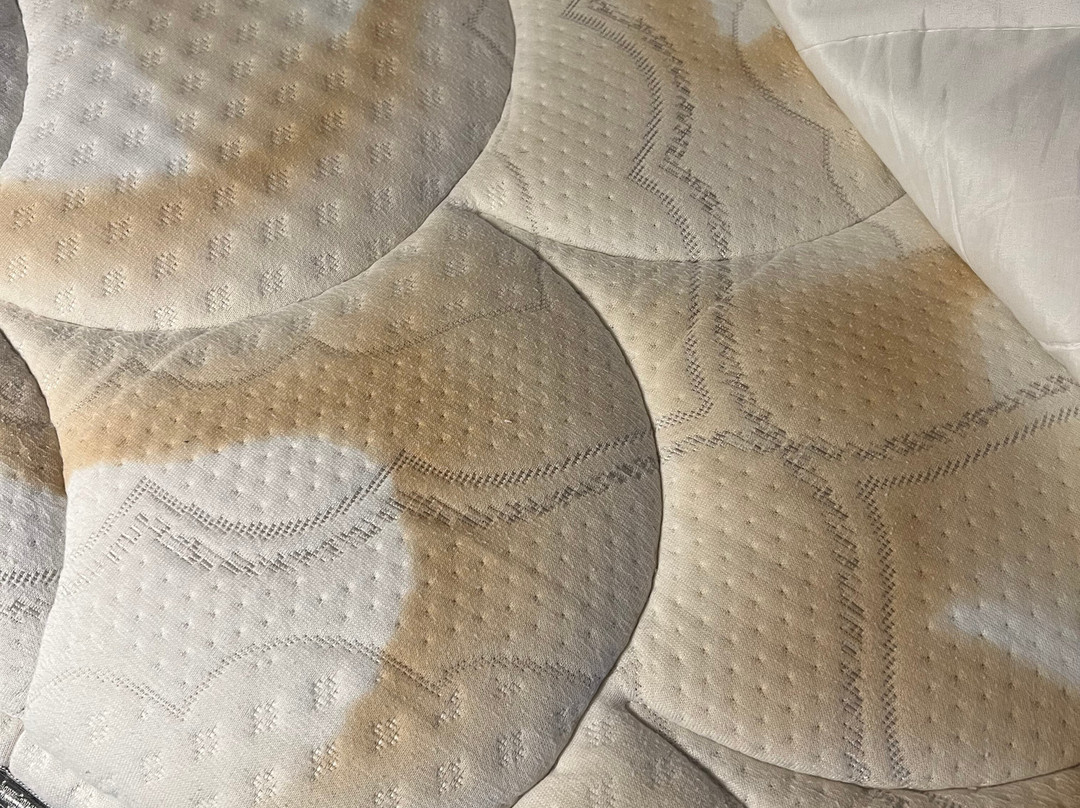 Best Western Plus Meridian主图