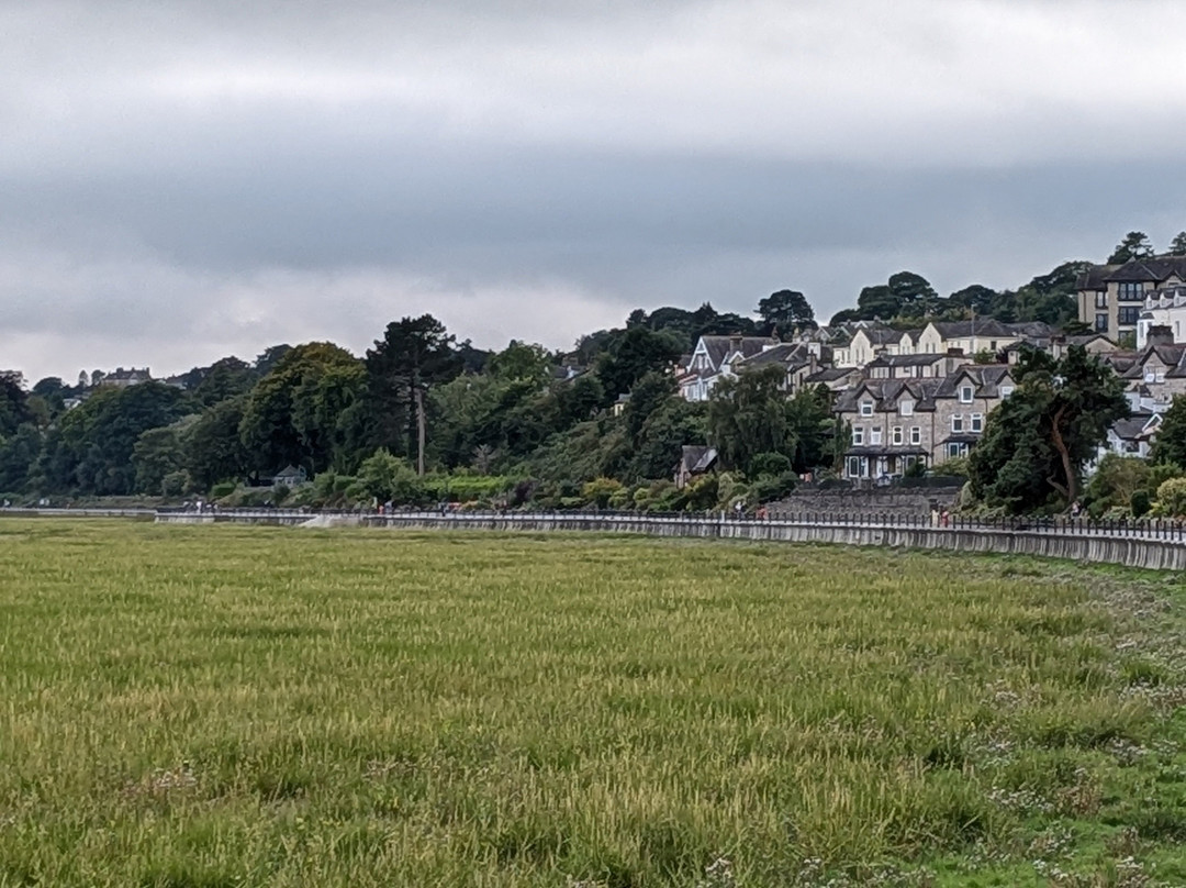 Corner Beech House主图