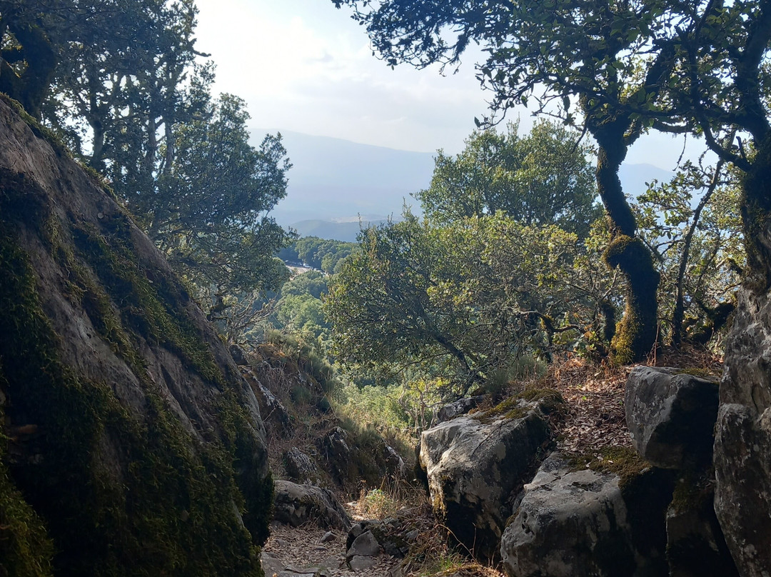 Santuario di Nostra Signora di Gonare-Orani必去景点