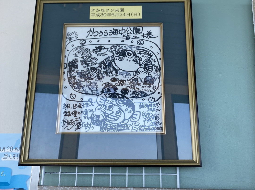 Katsuura Undersea Park-胜浦市必去景点