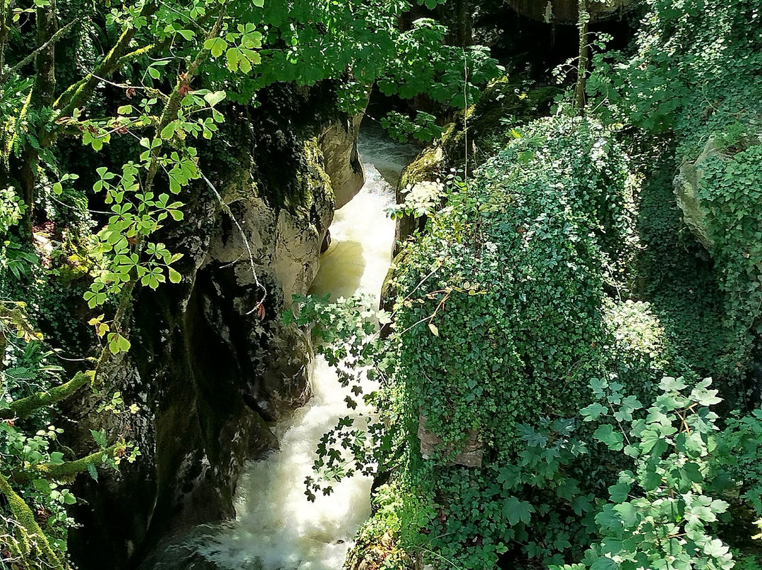 Gorges Du Sierroz景点图片