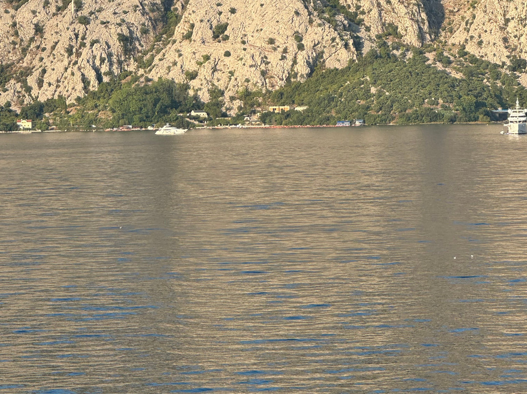 Hop On Hop Off Kotor-科托尔必去景点