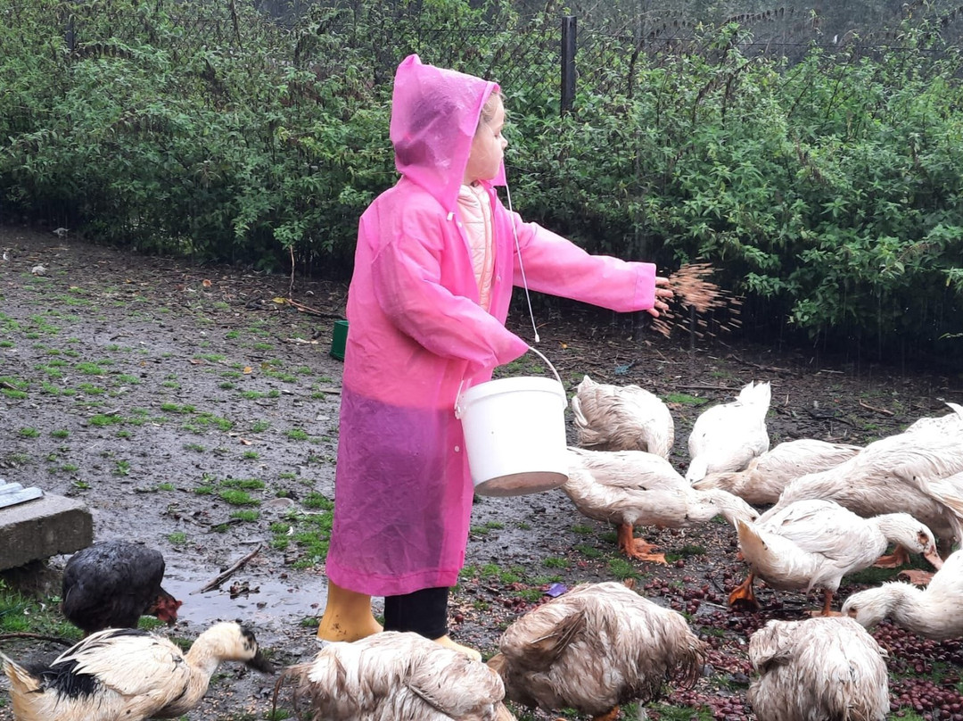 Gorska Lesniczowka主图