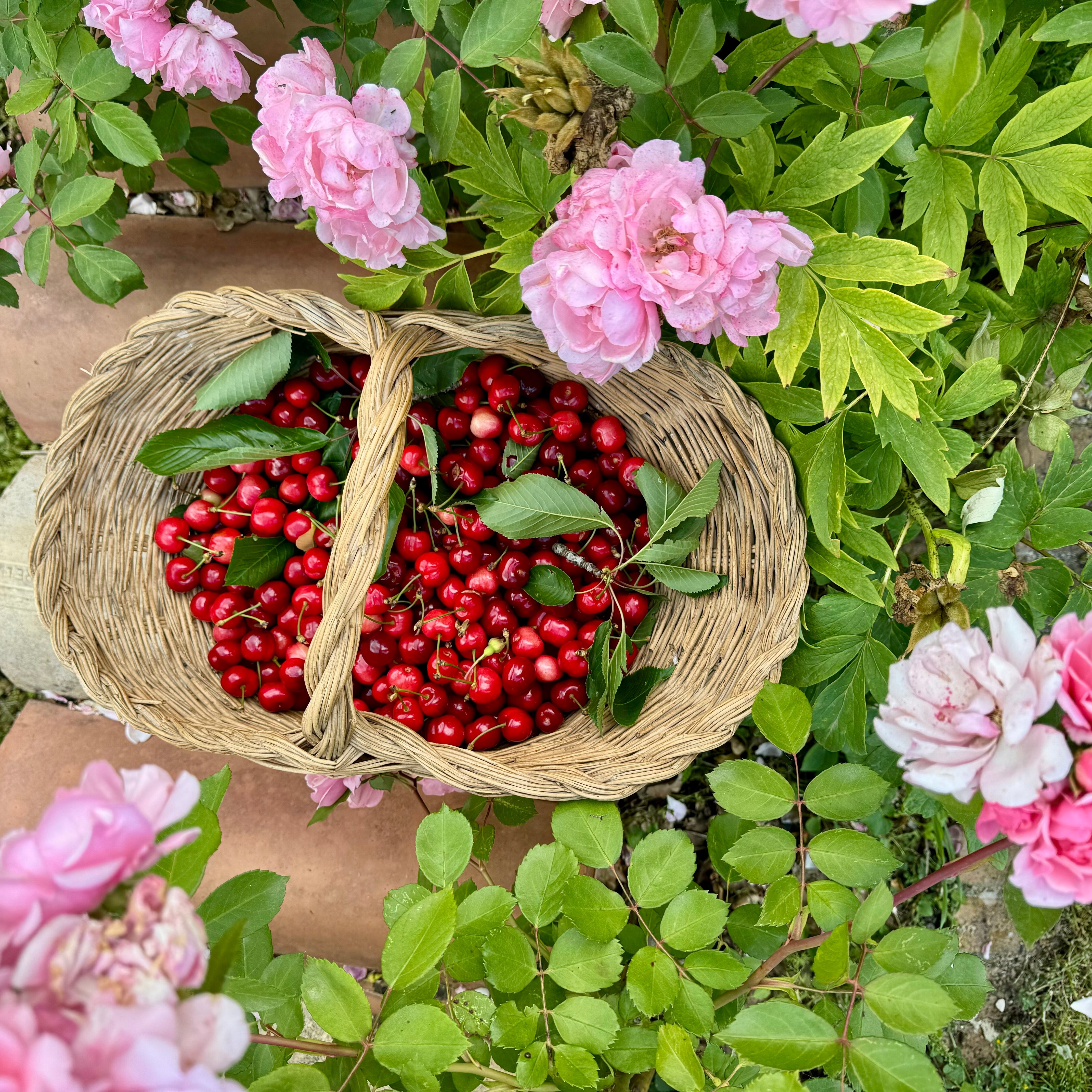 Agriturismo Casale Nel Parco Dei Monti Sibillini-餐饮