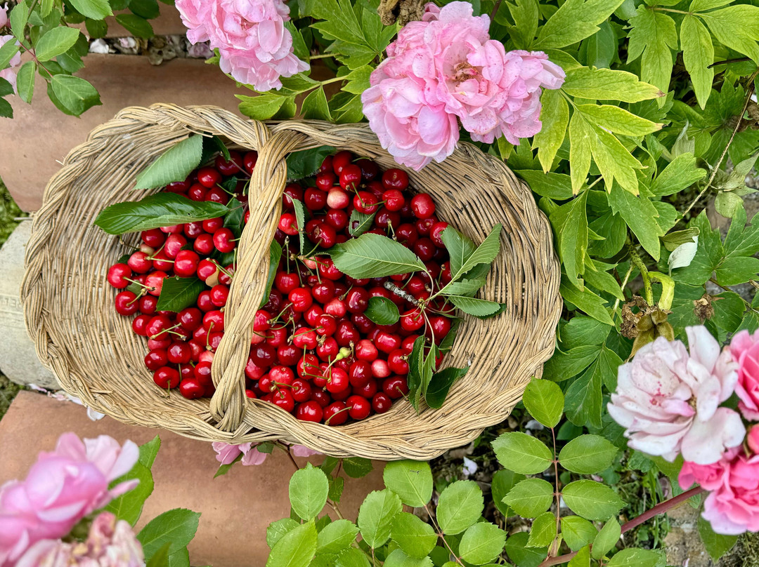 Agriturismo Casale Nel Parco Dei Monti Sibillini主图