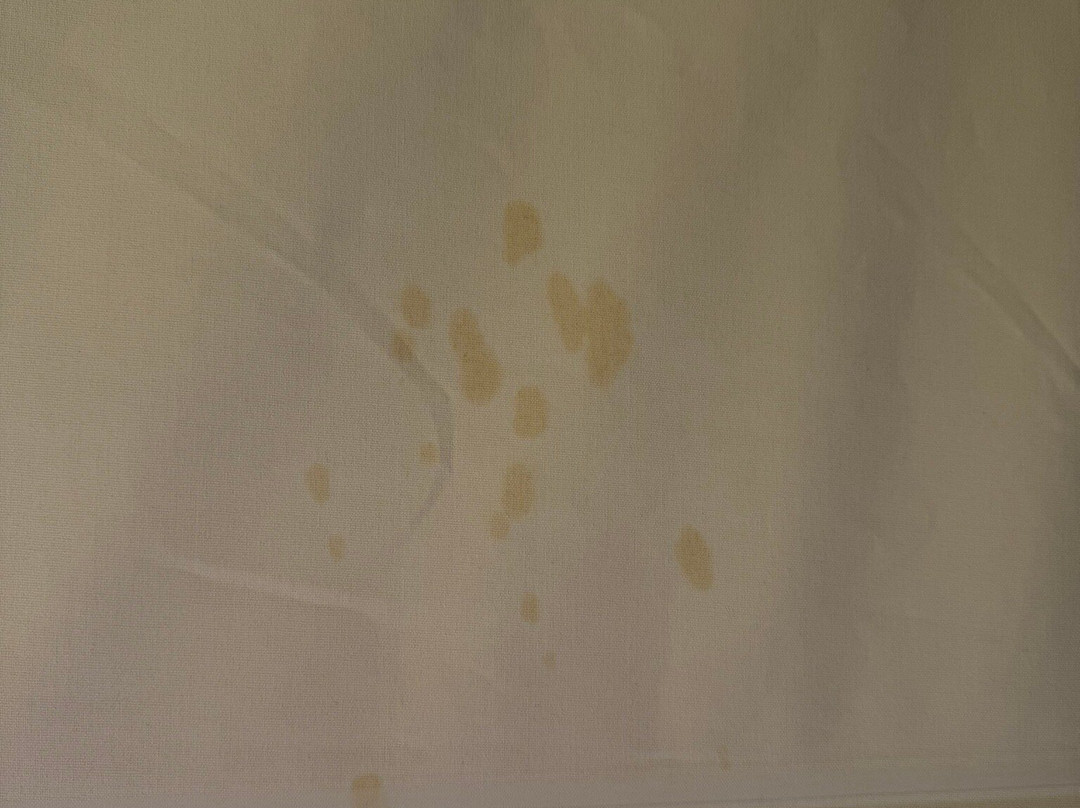 布法罗国际机场假日酒店主图