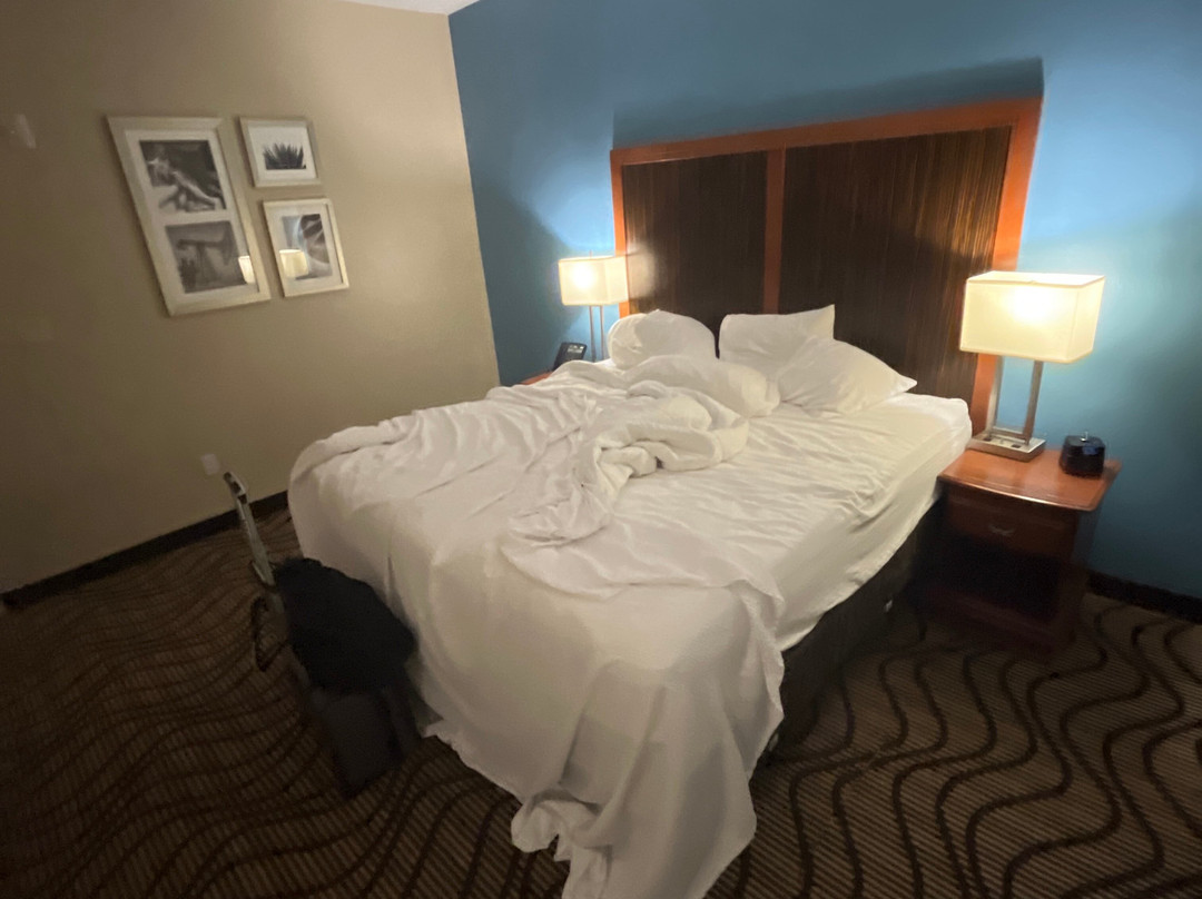 La Quinta Inn & Suites by Wyndham Mathis主图