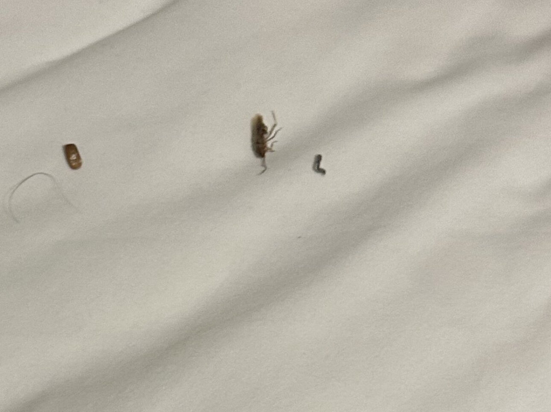 Best Western Visalia Hotel主图