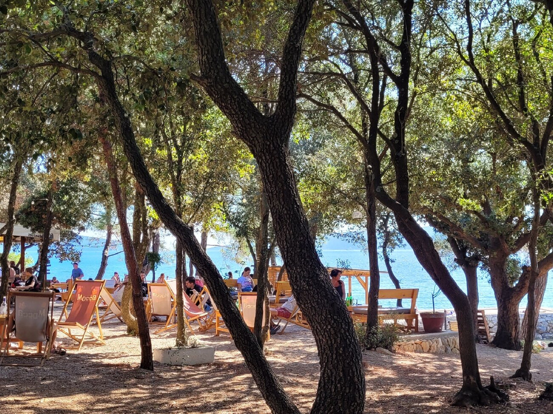Beach Bar Mocca景点图片