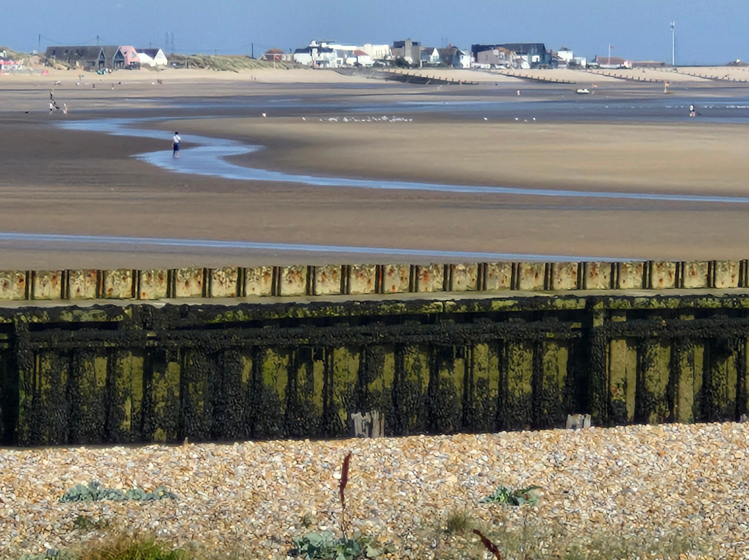 Rye Harbour Discovery Centre景点图片