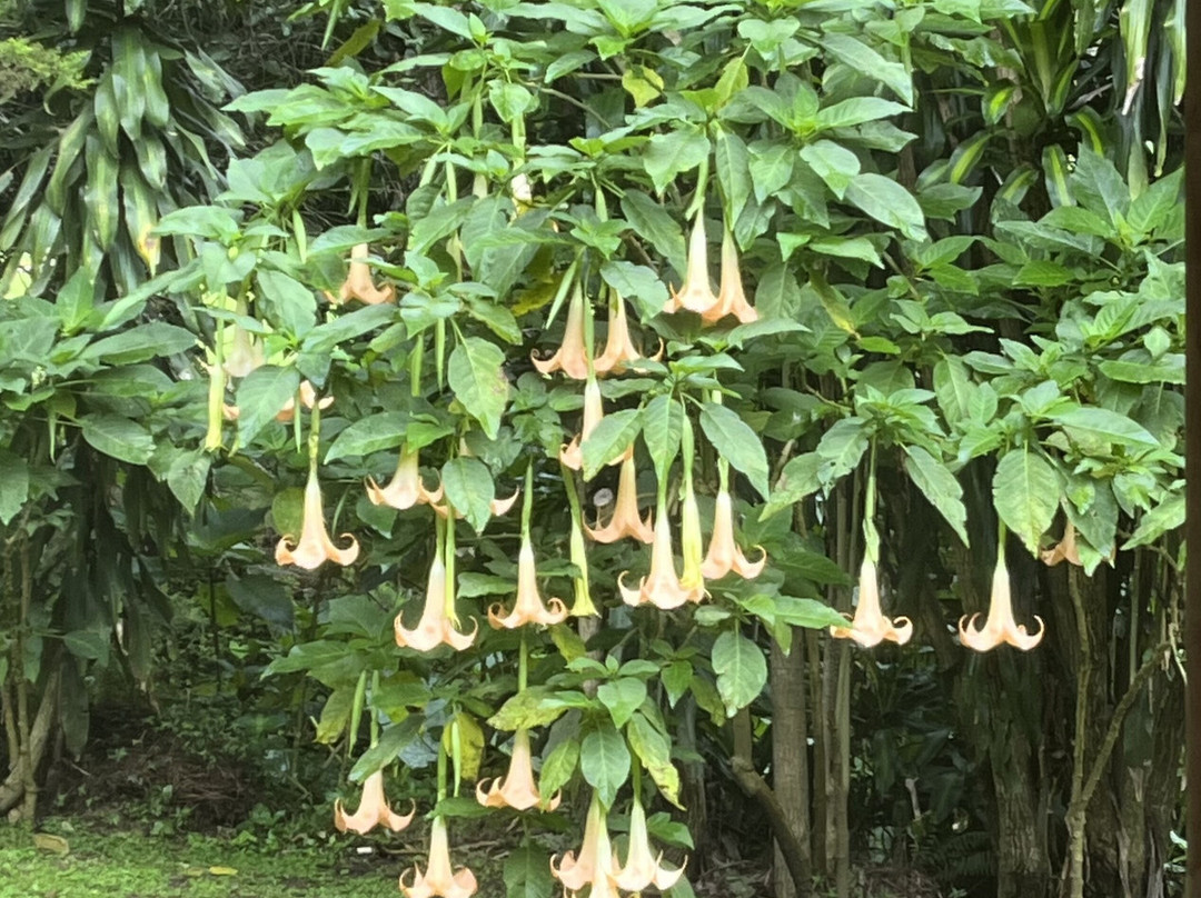 Valle Escondido Wellness Resort主图